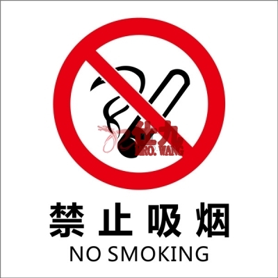安赛瑞 SAFEWARE 20230 自发光消防警示标签（禁止吸烟）自发光不干胶,100×100mm,中英文，10片/包