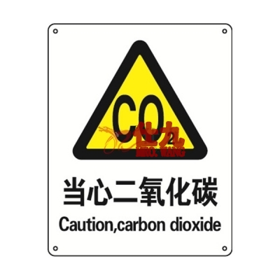安赛瑞 SAFEWARE 30743 警告类安全标识（当心二氧化碳）高性能不干胶，250mm（W)×315mm(H)，中英文
