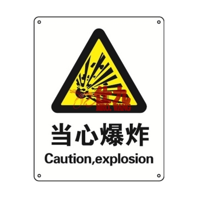 安赛瑞 SAFEWARE 35124 警告类安全标识（当心爆炸）1mm厚铝板，250mm（W)×315mm(H)，中英文