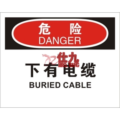 安赛瑞 SAFEWARE 31160 电气伤害标识（危险下有电缆）高性能不干胶，250mm（W)×315mm(H)，中英文