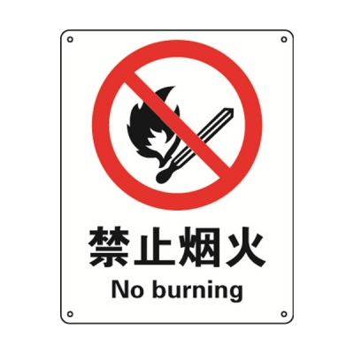 安赛瑞 SAFEWARE 35000 禁止类安全标识（禁止烟火）1mm厚铝板，250mm（W)×315mm(H)，中英文