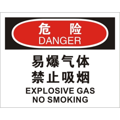 安赛瑞 SAFEWARE 31226 火灾消防标识（危险易爆气体禁止吸烟）高性能不干胶，250mm（W)×315mm(H)，中英文