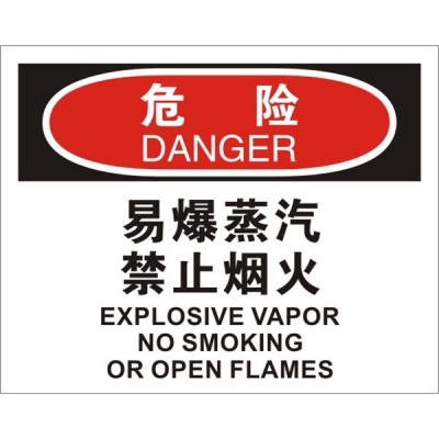 安赛瑞 SAFEWARE 31229 火灾消防标识（危险易爆蒸汽禁止烟火）高性能不干胶，250mm（W)×315mm(H)，中英文
