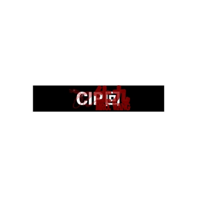 安赛瑞 SAFEWARE 15234 管道标识（CIP回）自粘性乙烯材料,表面覆保护膜,黑底白字,50×250mm,5张/包
