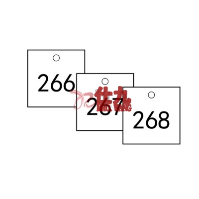 安赛瑞 SAFEWARE 14864 塑料号码吊牌 正方形,31.8×31.8mm,白底黑字,号码从201到300,100个/包