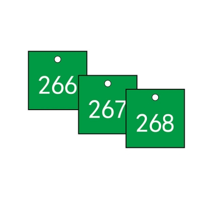 安赛瑞 SAFEWARE 14858 塑料号码吊牌 正方形,31.8×31.8mm,绿底白字,号码从201到300,100个/包