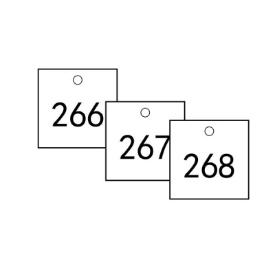安赛瑞 SAFEWARE 14864 塑料号码吊牌 正方形,31.8×31.8mm,白底黑字,号码从201到300,100个/包