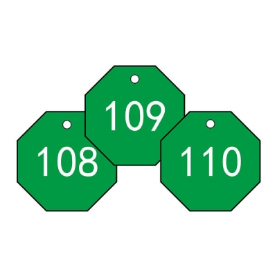 安赛瑞 SAFEWARE 14869 塑料号码吊牌 八边形,Φ31.8mm,绿底白字,号码从101到200,100个/包