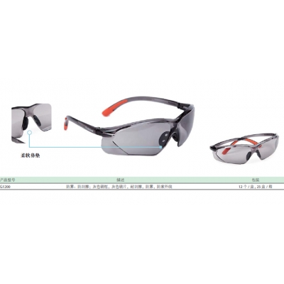雷克兰Lakeland G1200 安全眼镜 防雾防刮擦抗紫外线防护眼镜