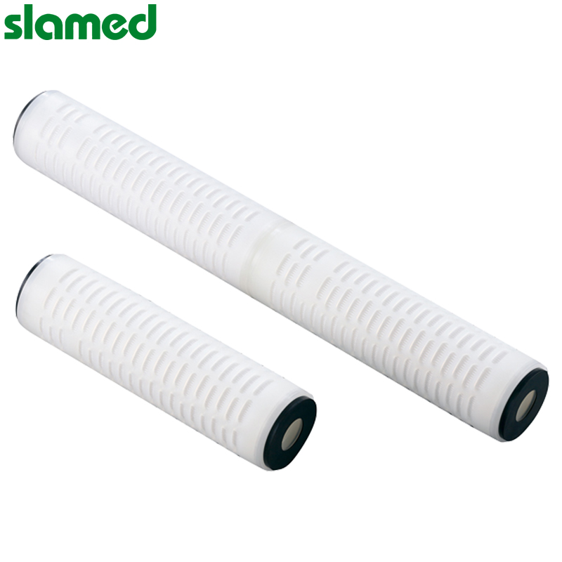 SLAMED 褶皱滤芯 GDT02P10250E0-250-1
