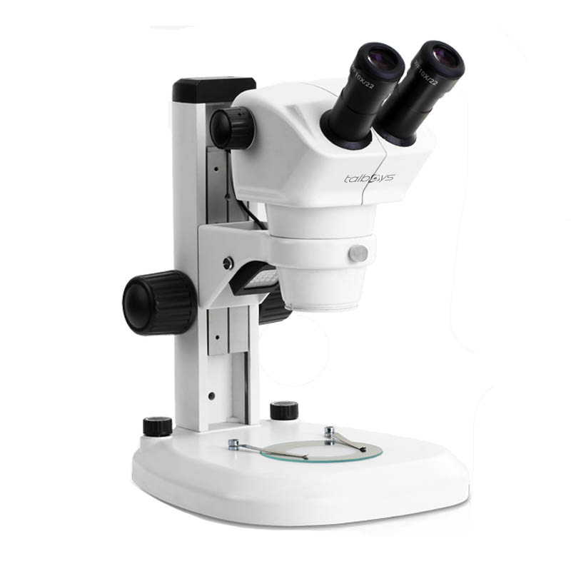 体视显微镜