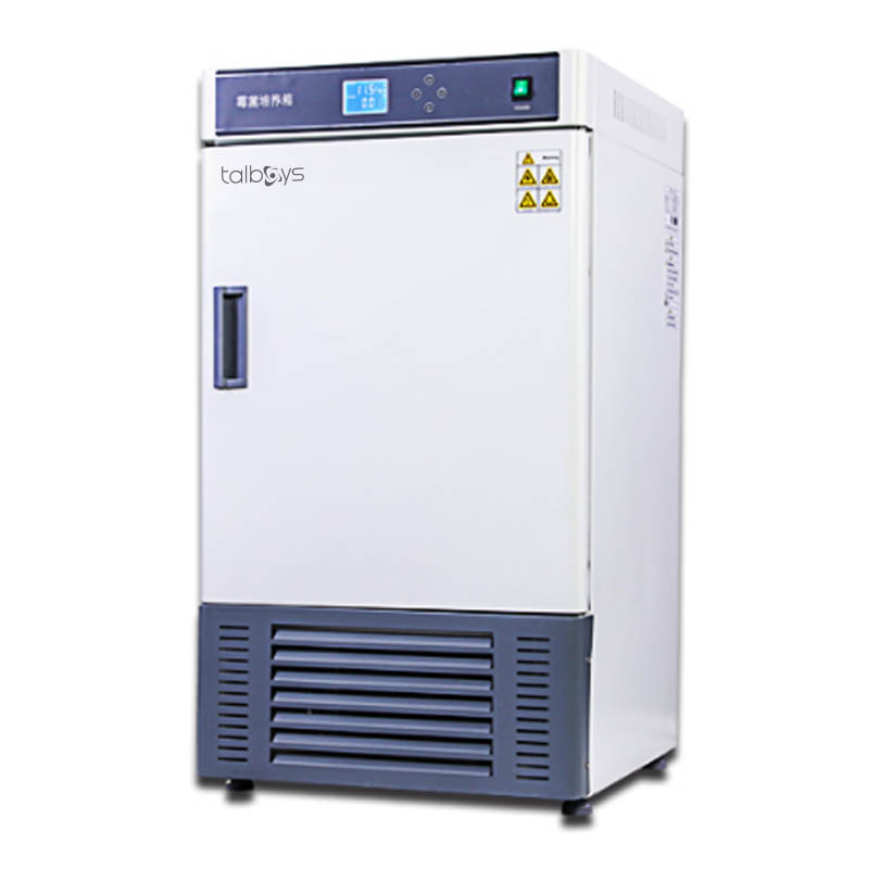 数显霉菌培养箱