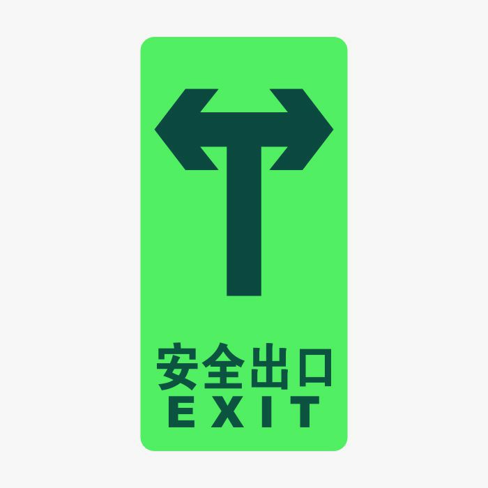 安全出口消防及应急标识自发光疏散标识