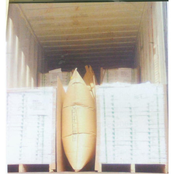 高强度充气袋  FORANT/泛特  88101395