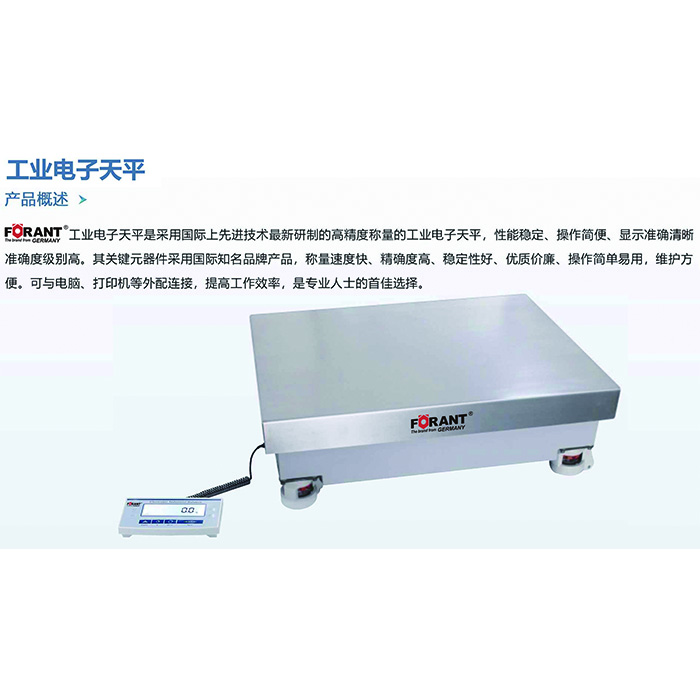 工业电子天平  FORANT/泛特  80911855