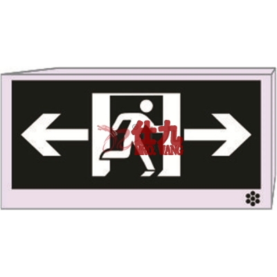 安赛瑞 SAFEWARE 20134 LED消防应急双面标志灯（向左向右）LED光源，高性能镍铬电池，328×169mm