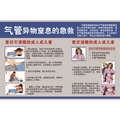 安赛瑞 SAFEWARE 20378 应急安全教育挂图（气管异物窒息的急救）ABS塑料板，500×750mm