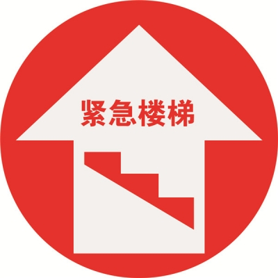 安赛瑞 SAFEWARE 15729 地贴警示标识（紧急楼梯）**强耐磨地贴材料,Φ400mm
