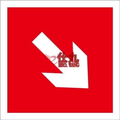 安赛瑞 SAFEWARE 20233 消防警示标签（向右下箭头）不干胶,100×100mm,10片/包