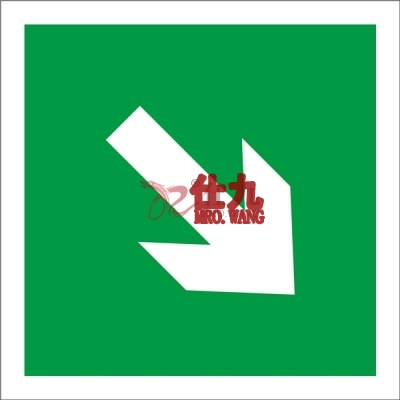 安赛瑞 SAFEWARE 20245 消防警示标签（向右下箭头）不干胶,100×100mm,10片/包