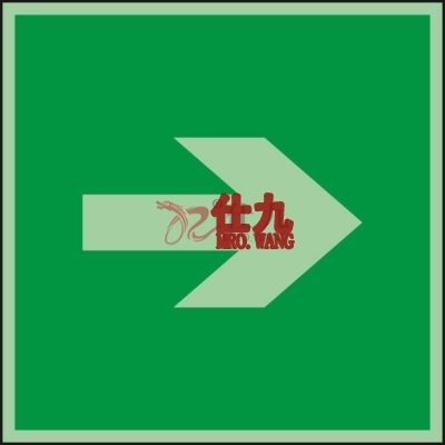 安赛瑞 SAFEWARE 20273 IMO安全标识（向右箭头，无文字）自发光塑料板，150×150mm