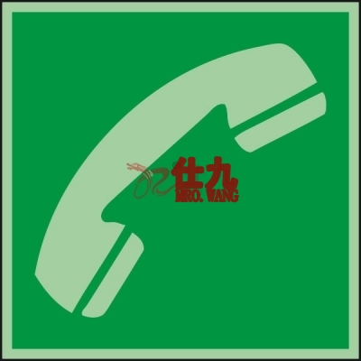 安赛瑞 SAFEWARE 20277 IMO安全标识（无文字）自发光塑料板，150×150mm