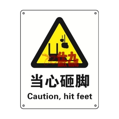 安赛瑞 SAFEWARE 30740 警告类安全标识（当心砸脚）高性能不干胶，250mm（W)×315mm(H)，中英文