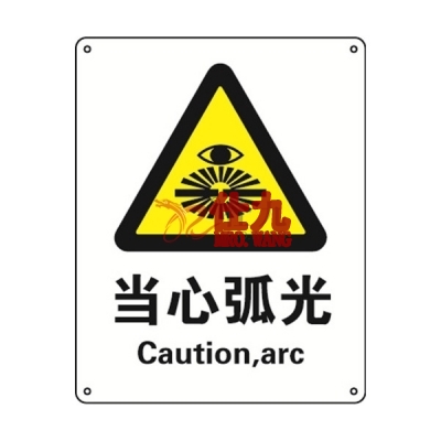 安赛瑞 SAFEWARE 35118 警告类安全标识（当心弧光）1mm厚铝板，250mm（W)×315mm(H)，中英文
