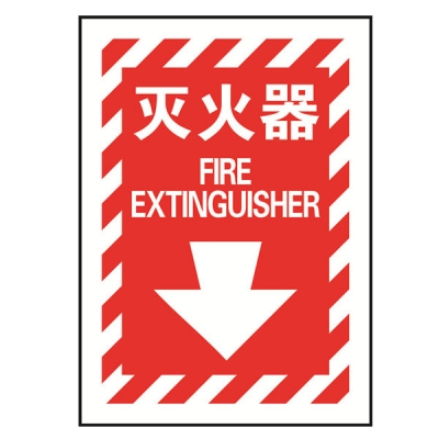 安赛瑞 SAFEWARE 20166 消防设备标识（灭火器）高性能自发光不干胶材质，254×178mm，中英文
