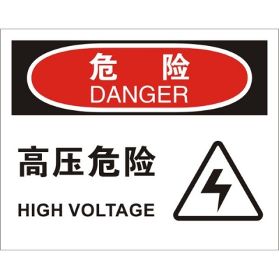 安赛瑞 SAFEWARE 31151 电气伤害标识（危险高压危险）高性能不干胶，250mm（W)×315mm(H)，中英文