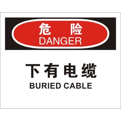 安赛瑞 SAFEWARE 31160 电气伤害标识（危险下有电缆）高性能不干胶，250mm（W)×315mm(H)，中英文