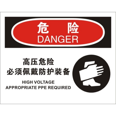 安赛瑞 SAFEWARE 31658 电气伤害标识（危险高压危险必须佩戴防护装备）1.5mm厚ABS工程塑料板，250mm（W)×315mm(H)，中英文