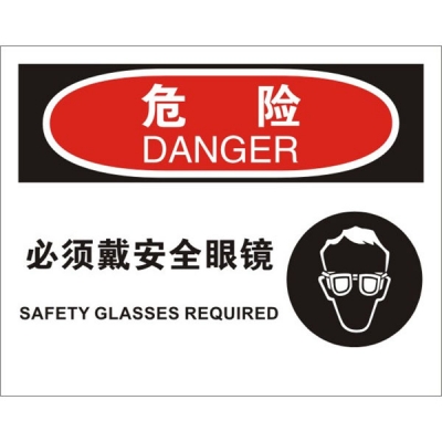 安赛瑞 SAFEWARE 31187 个人防护装备标识(危险必须戴安全眼镜)高性能不干胶，250mm（W)×315mm(H)，中英文