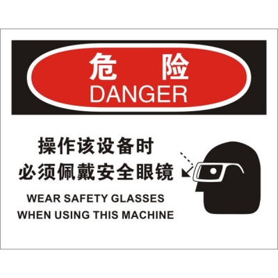 安赛瑞 SAFEWARE 31190 个人防护装备标识(危险操作该设备时必须佩戴安全眼镜)高性能不干胶，250mm（W)×315mm(H)，中英文