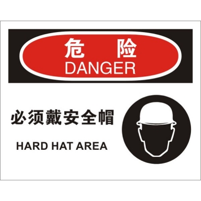 安赛瑞 SAFEWARE 31685 个人防护装备标识(危险必须带安全帽)1.5mm厚ABS工程塑料板，250mm（W)×315mm(H)，中英文