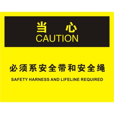 安赛瑞 SAFEWARE 31175 滑倒坠落标识(当心必须系安全带和安全绳）高性能不干胶，250mm（W)×315mm(H)，中英文