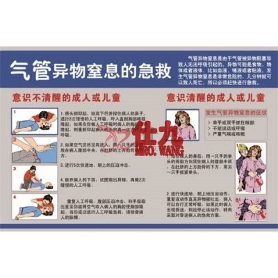 安赛瑞 SAFEWARE 30424 安全教育挂图（气管异物窒息的急救）高品质ABS塑料材质，四角打孔，500×750mm