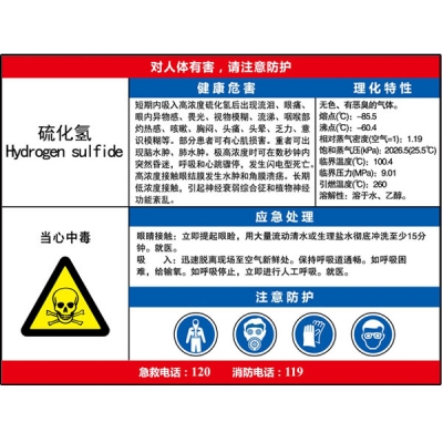 安赛瑞 SAFEWARE 14603 职业病危害告知卡（硫化氢）ABS板,600×450mm