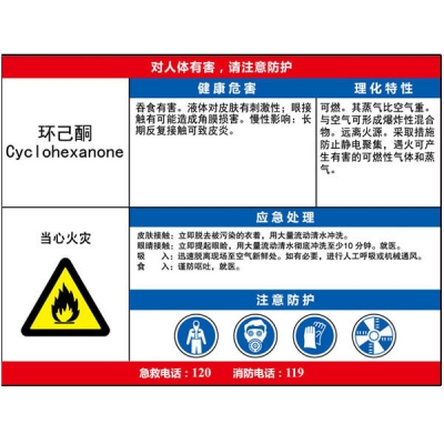 安赛瑞 SAFEWARE 14629 职业病危害告知卡（环己酮）ABS板,600×450mm