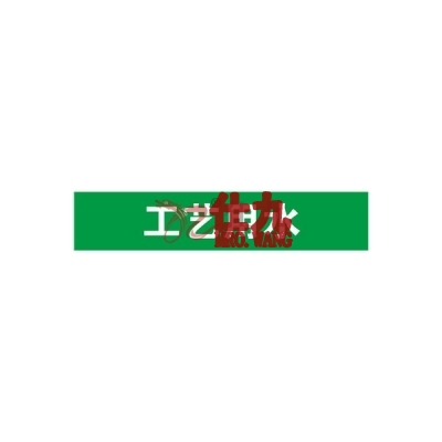 安赛瑞 SAFEWARE 14924 管道标识（工艺用水）自粘性乙烯材料,表面覆保护膜,绿底白字,25×125mm,10张/包
