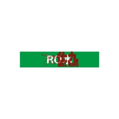 安赛瑞 SAFEWARE 15108 管道标识（RO水）自粘性乙烯材料,表面覆保护膜,绿底白字,50×250mm,5张/包