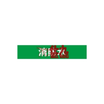 安赛瑞 SAFEWARE 15242 管道标识（消防水）自粘性乙烯材料,表面覆保护膜,绿底白字,100×500mm