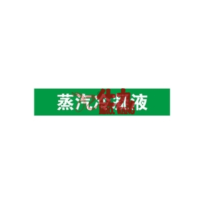 安赛瑞 SAFEWARE 15282 管道标识（蒸汽冷凝液）自粘性乙烯材料,表面覆保护膜,绿底白字,100×500mm