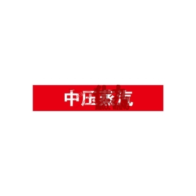 安赛瑞 SAFEWARE 15305 管道标识（中压蒸汽）自粘性乙烯材料,表面覆保护膜,红底白字,100×500mm