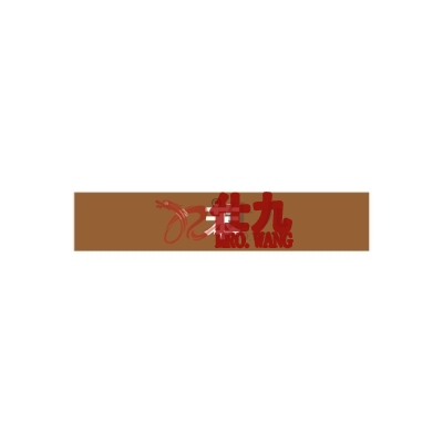 安赛瑞 SAFEWARE 15372 管道标识（苯）自粘性乙烯材料,表面覆保护膜,棕底白字,100×500mm