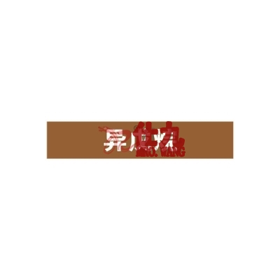 安赛瑞 SAFEWARE 15375 管道标识（异戊烷）自粘性乙烯材料,表面覆保护膜,棕底白字,100×500mm