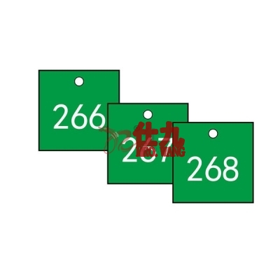 安赛瑞 SAFEWARE 14858 塑料号码吊牌 正方形,31.8×31.8mm,绿底白字,号码从201到300,100个/包
