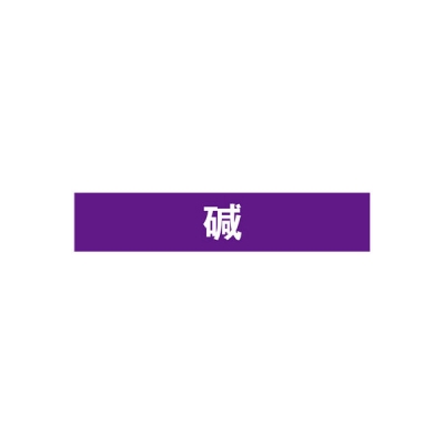 安赛瑞 SAFEWARE 15007 管道标识（碱）自粘性乙烯材料,表面覆保护膜,紫底白字,25×125mm,10张/包