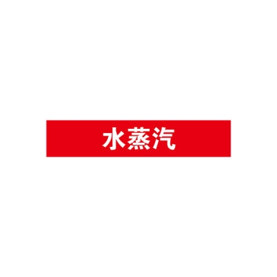 安赛瑞 SAFEWARE 15131 管道标识（水蒸汽）自粘性乙烯材料,表面覆保护膜,红底白字,50×250mm,5张/包