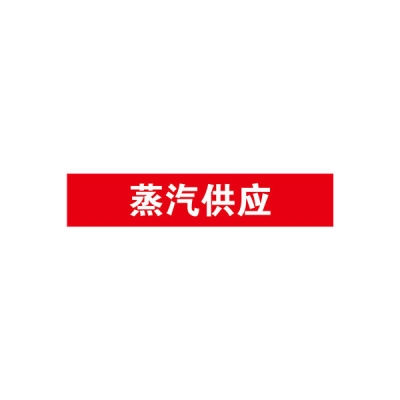 安赛瑞 SAFEWARE 15141 管道标识（蒸汽供应）自粘性乙烯材料,表面覆保护膜,红底白字,50×250mm,5张/包